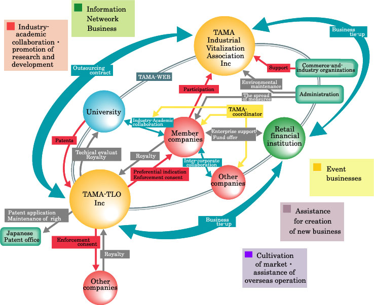 TAMA Project Map